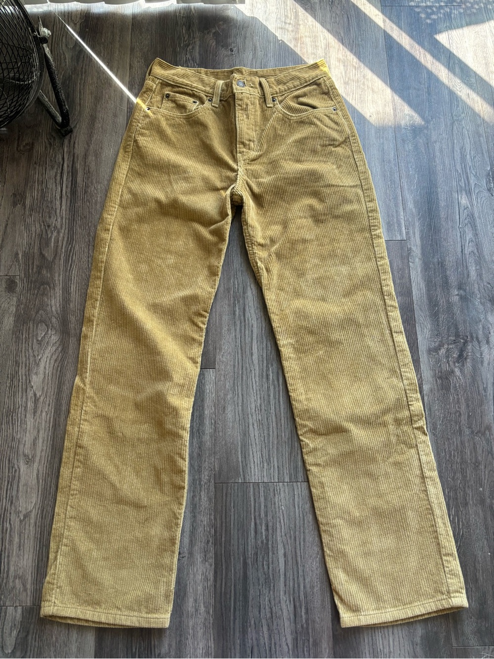 Levi Corduroy Pant